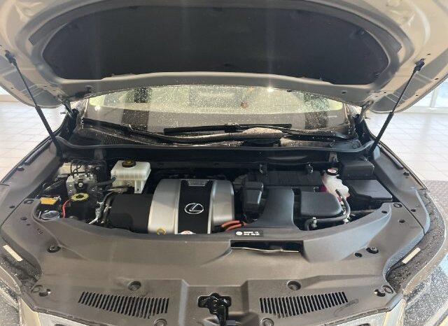
								Lexus RX full									