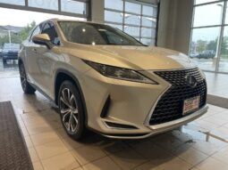 
										Lexus RX full									