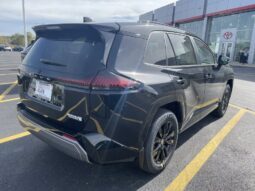 
										Toyota RAV4 full									