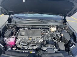 
										Toyota RAV4 full									