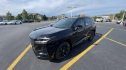 
										Toyota RAV4 full									