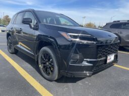 
										Toyota RAV4 full									
