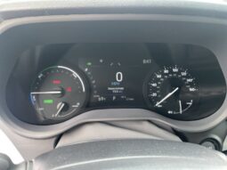 
										Toyota Sienna full									