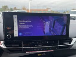 
										Toyota Sienna full									