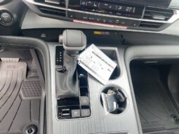 
										Toyota Sienna full									