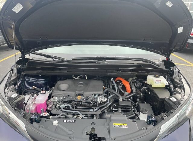 
								Toyota Sienna full									