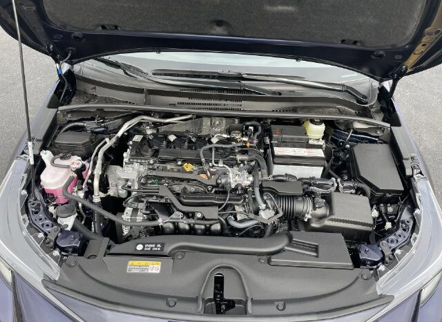 
								Toyota Corolla Hatchback full									
