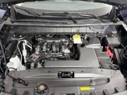 
										Nissan Pathfinder full									