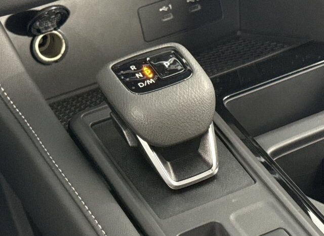 
								Nissan Pathfinder full									