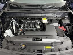 
										Nissan Pathfinder full									