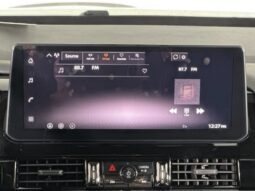 
										Nissan Pathfinder full									