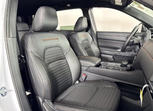 
								Nissan Pathfinder full									