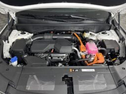 
										Kia Sorento Hybrid full									