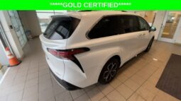 
										Toyota Sienna full									