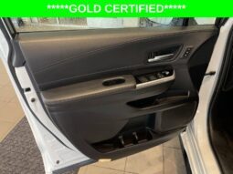
										Toyota Sienna full									