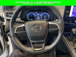 
										Toyota Sienna full									