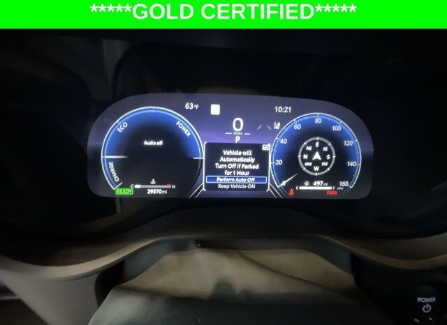 
								Toyota Sienna full									