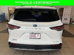 
										Toyota Sienna full									
