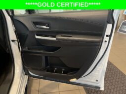 
										Toyota Sienna full									