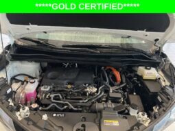 
										Toyota Sienna full									