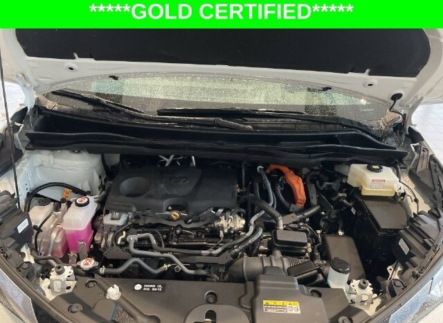 
								Toyota Sienna full									
