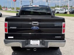 
										Ford F-150 full									