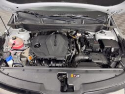 
										Kia Sportage full									