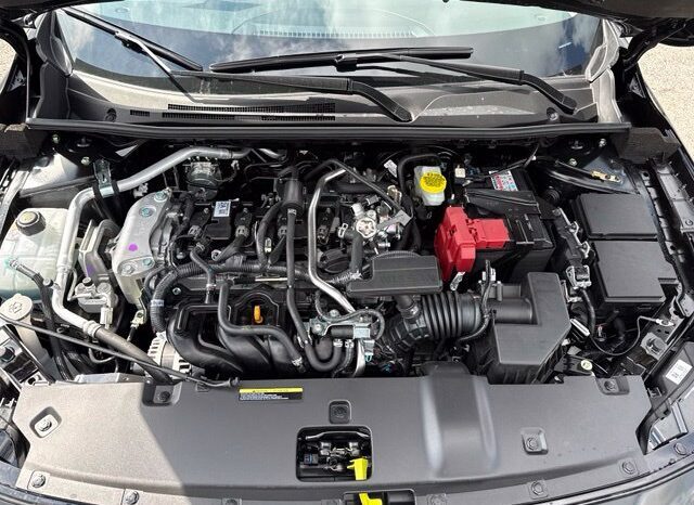 
								Nissan Sentra full									
