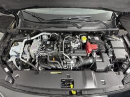 
										Nissan Sentra full									