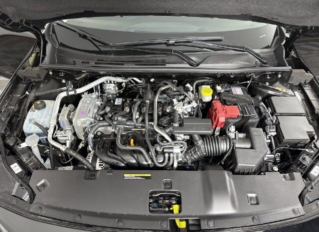 
								Nissan Sentra full									
