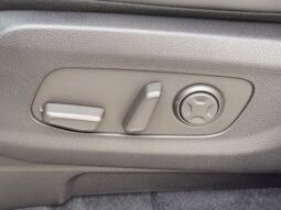 
										Kia Carnival Hybrid full									
