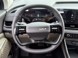 
										Kia Carnival Hybrid full									