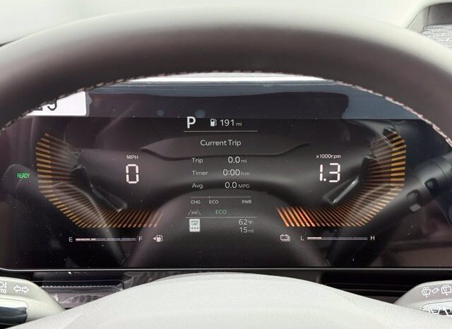 
								Kia Carnival Hybrid full									