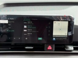 
										Kia Carnival Hybrid full									