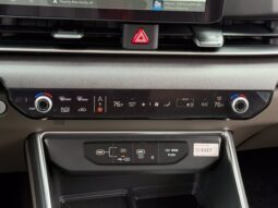 
										Kia Carnival Hybrid full									