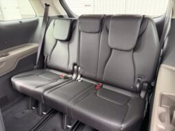 
										Kia Carnival Hybrid full									