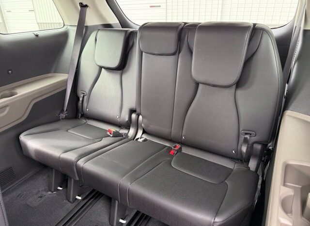 
								Kia Carnival Hybrid full									