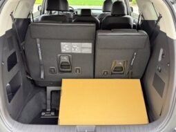 
										Kia Carnival Hybrid full									