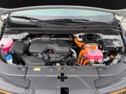 
										Kia Carnival Hybrid full									