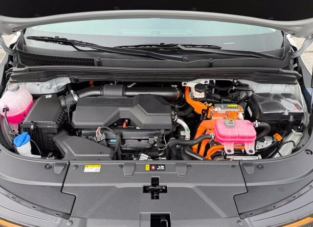 
								Kia Carnival Hybrid full									