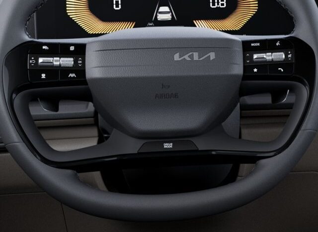 
								Kia Carnival full									