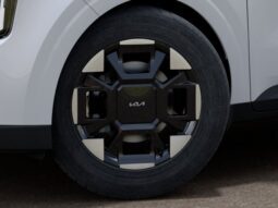 
										Kia Carnival full									