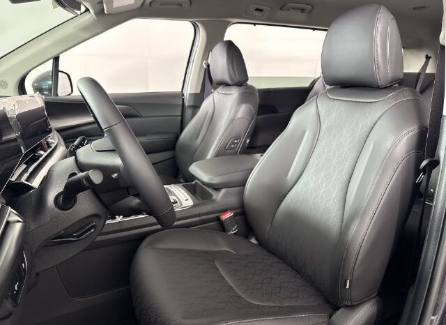 
								Kia Carnival full									