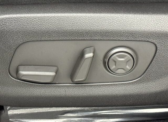 
								Kia Carnival full									