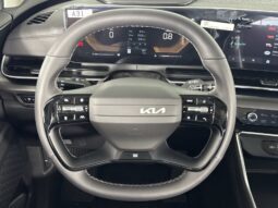 
										Kia Carnival full									