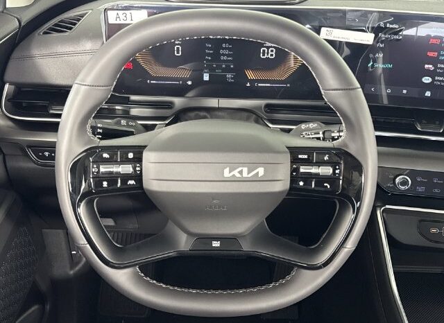
								Kia Carnival full									