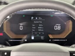 
										Kia Carnival full									