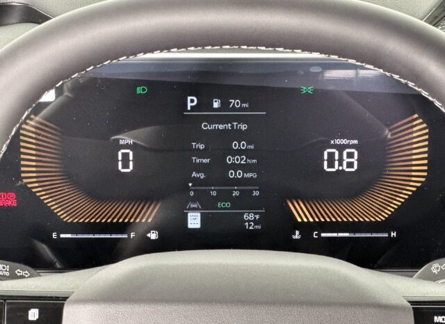 
								Kia Carnival full									