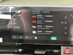 
										Kia Carnival full									