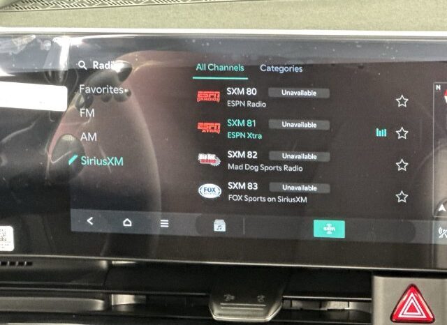 
								Kia Carnival full									